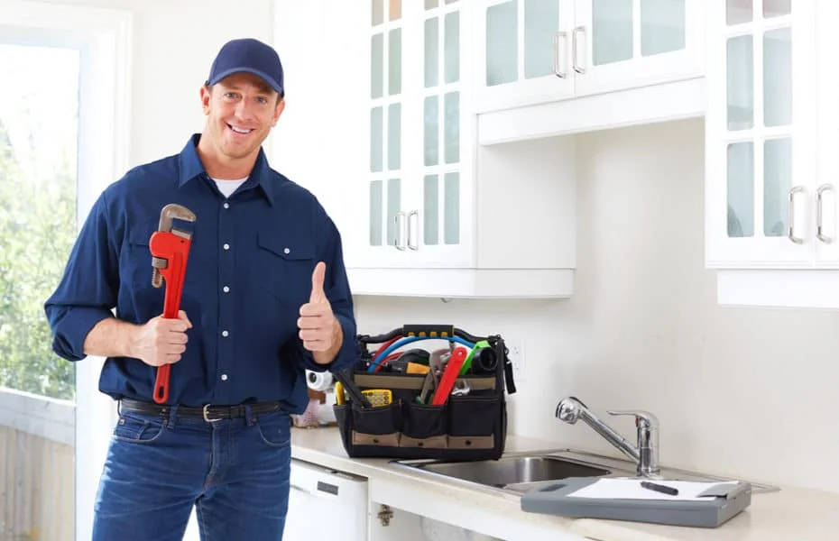 Caça vazamento recanto das emas